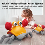 POCHIVA™ Sensörlü Hareket Gelişim Oyuncağı