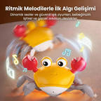 POCHIVA™ Sensörlü Hareket Gelişim Oyuncağı